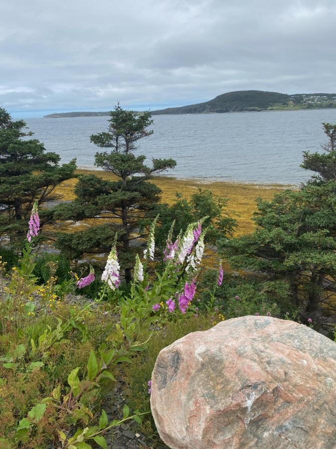 Rocky Harbour Oceanfront别墅 外观 照片